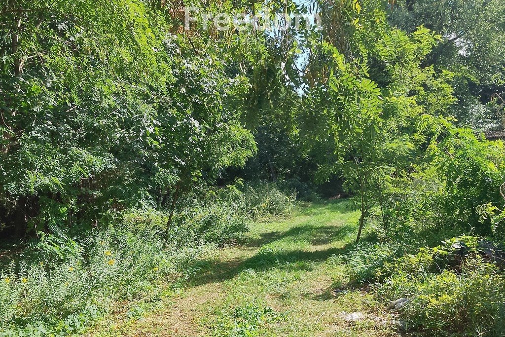 Działka budowlana na sprzedaż Ostrów-Kania  9 658m2 Foto 5