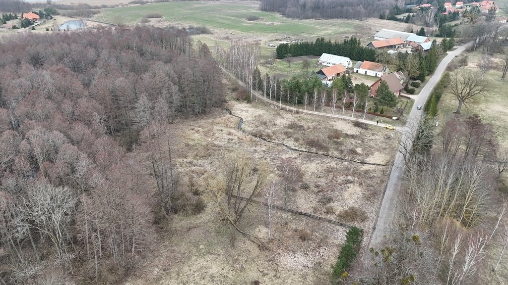 Działka rolna na sprzedaż Rogojny  3 000m2 Foto 10