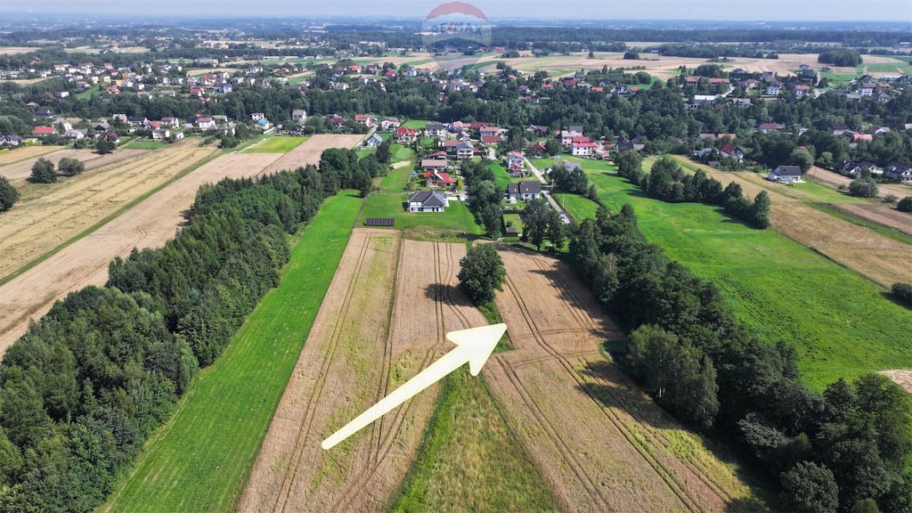 Działka rolna na sprzedaż Czaniec  4 082m2 Foto 8