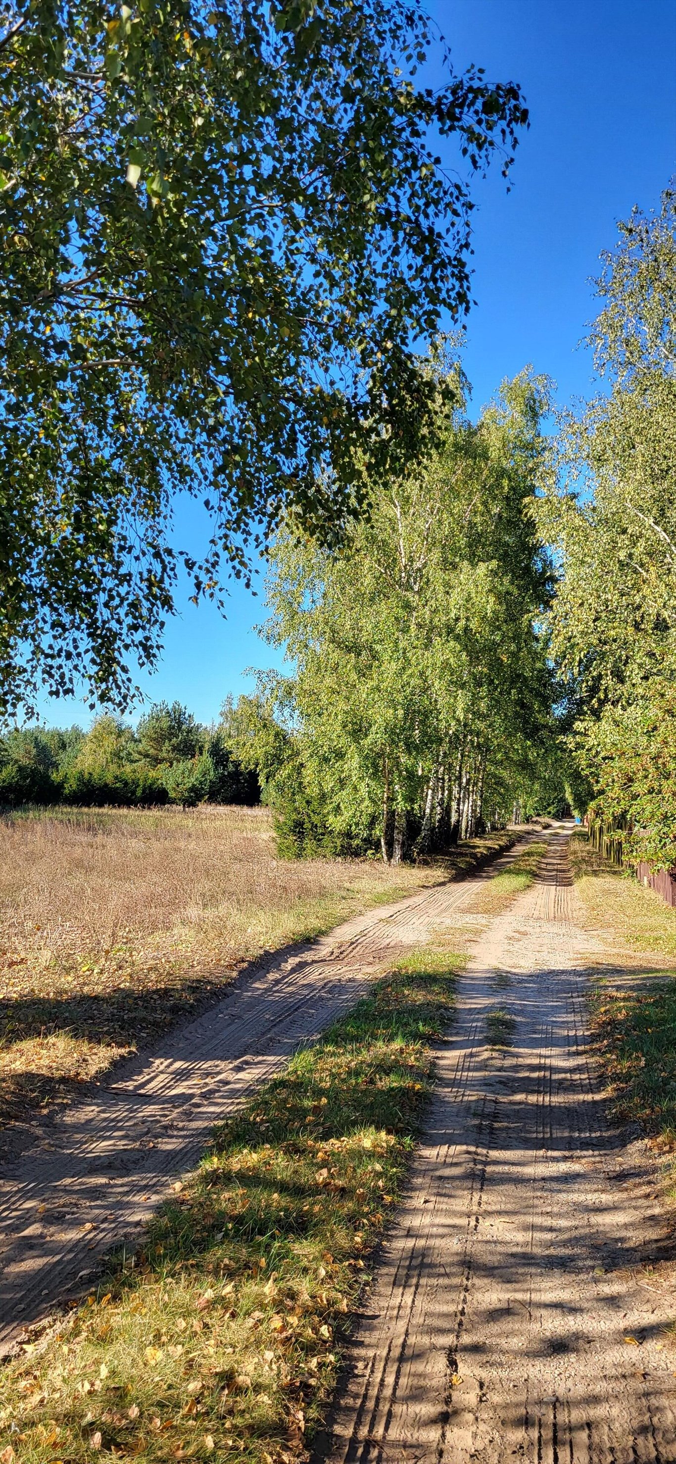 Działka inna na sprzedaż Grudziądz  1 500m2 Foto 3