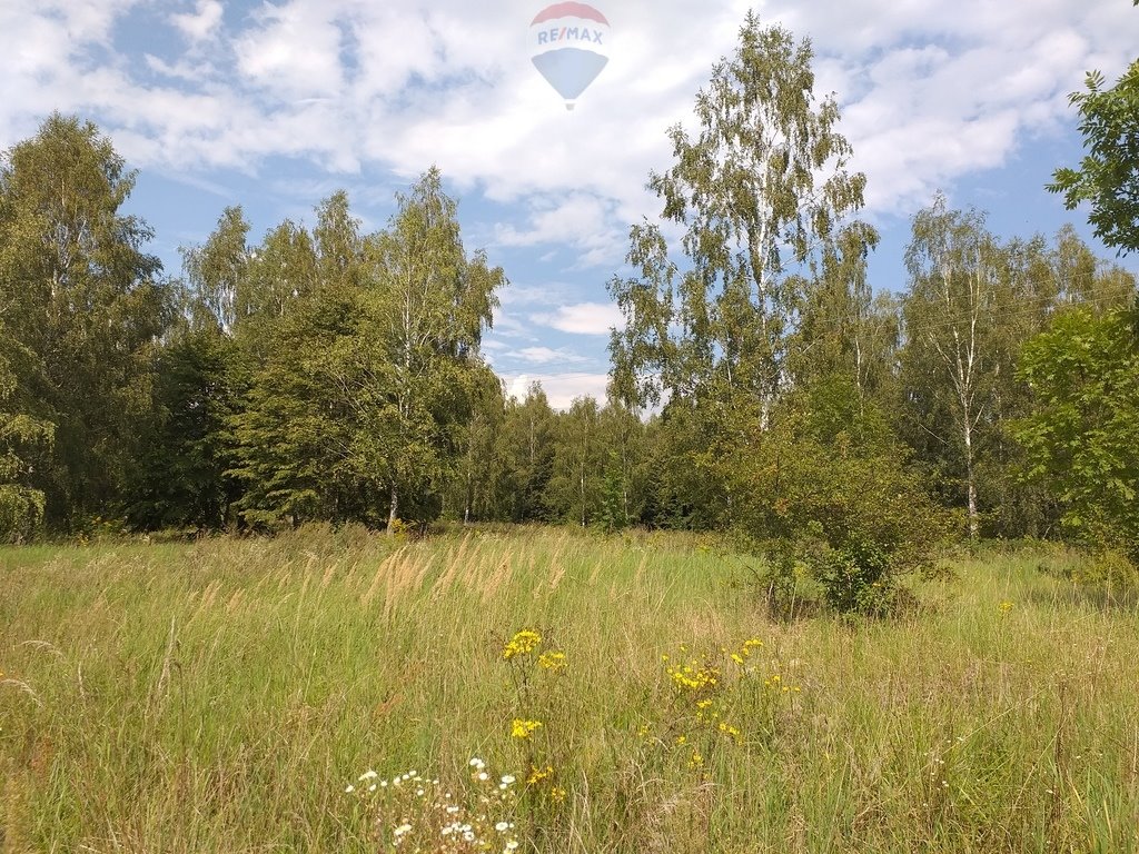 Działka inwestycyjna na sprzedaż Lembruk  28 866m2 Foto 8