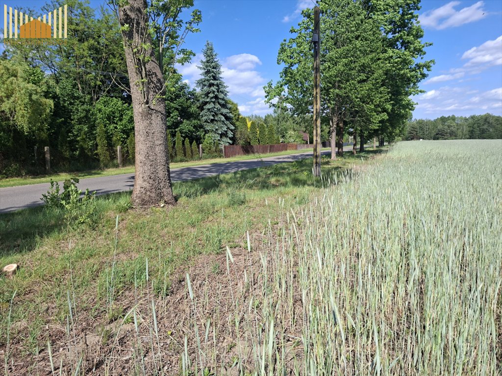 Zapraszam do zakupu działek 900-1050 m² z mediami w Mrozach Mrozy  1 019m2 Foto 1