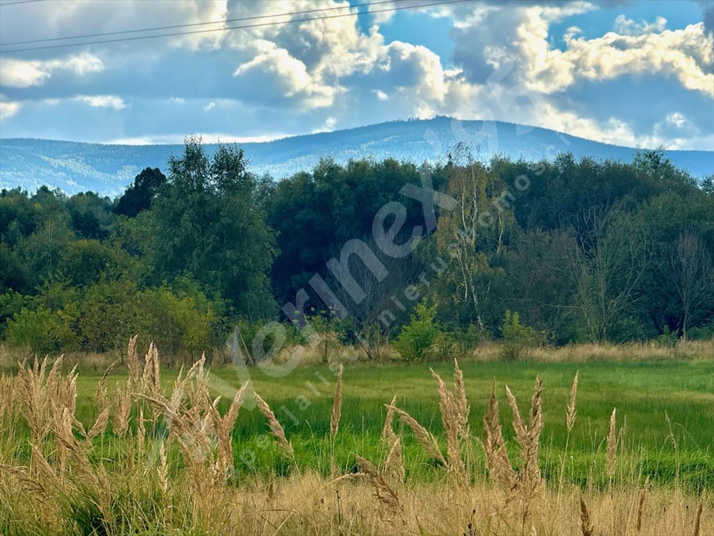 Działka 6800 m² z widokiem na Góry Izerskie - polecam! Wolimierz  6 800m2 Foto 1