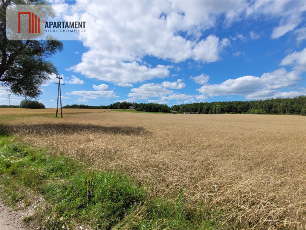 Działka gospodarstwo rolne na sprzedaż Skorzewo  3 000m2 Foto 2