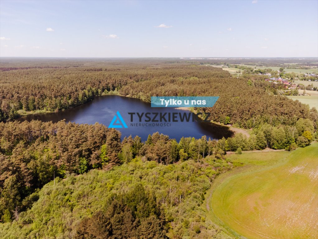 Działka rekreacyjna na sprzedaż Sarnowy  4 500m2 Foto 1