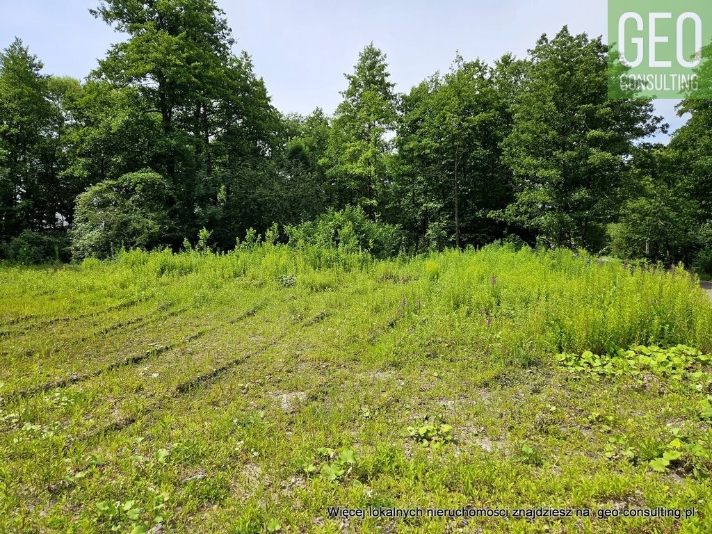 Działka budowlana na sprzedaż Dąbrowa Szlachecka, Działka z pozwoleniem na budowę 4 budynków w zabudowie bliźniaczej Dąbrowa Szlachecka  2 400m2 Foto 19