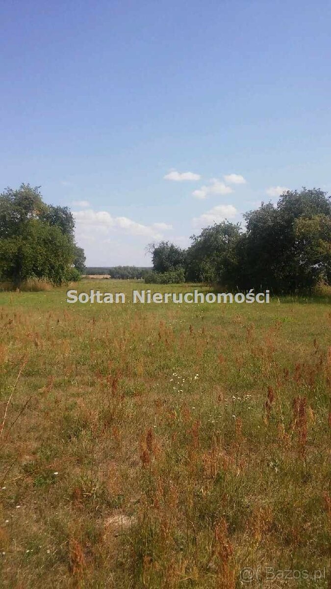 Działka siedliskowa na sprzedaż Grzybów  28 200m2 Foto 1