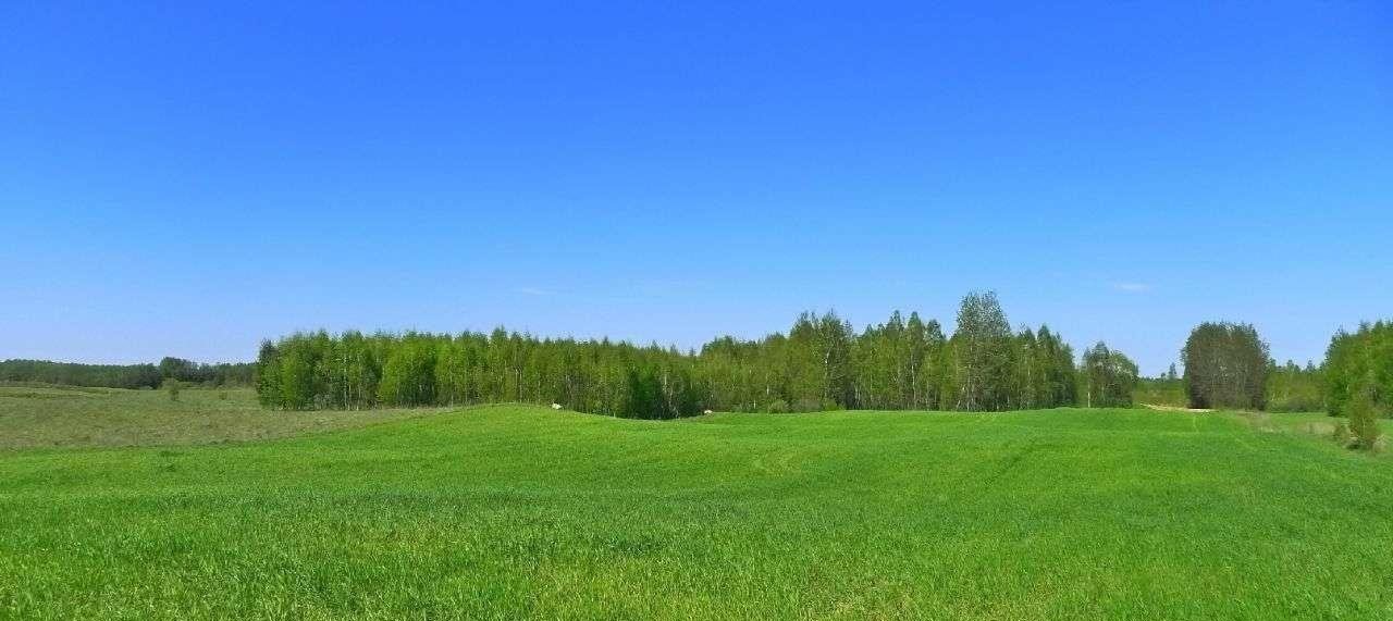 Działka rolna na sprzedaż Krasnopol  3 000m2 Foto 6