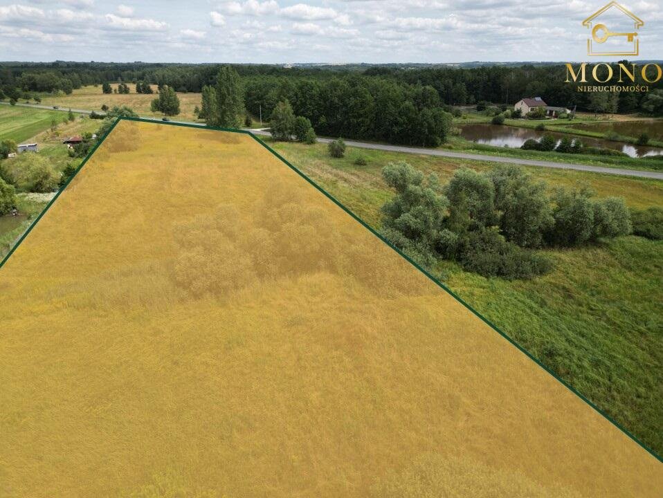 Działka budowlana na sprzedaż Piasek Wielki  26 800m2 Foto 4