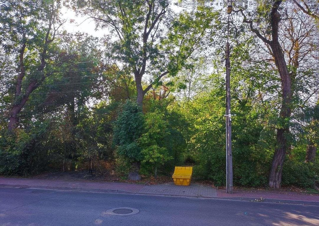Działka budowlana na sprzedaż Grodzisk Mazowiecki, Księcia Józefa Poniatowskiego  3 854m2 Foto 3