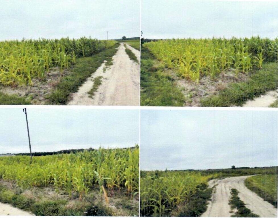 Udział w 6,76 ha działki w Świerczyńku – atrakcyjna okazja! Świerczynek  67 595m2 Foto 1