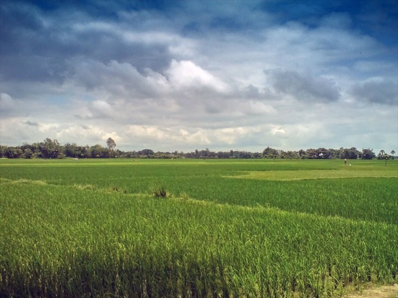 Działka inna na sprzedaż Opole, Nowa Wieś Królewska 1 424m2 Foto 1 Działka inna na sprzedaż Opole, Nowa Wieś Królewska 1 424m2 Foto 1