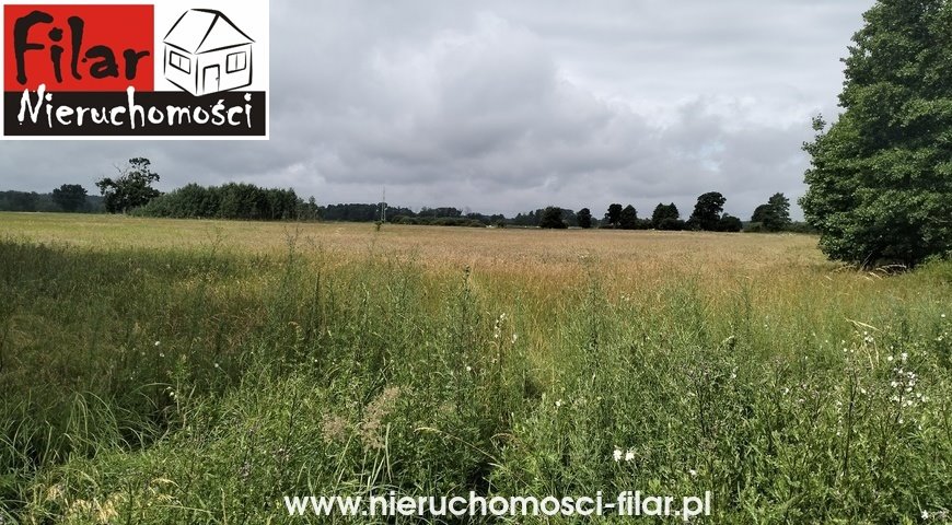 Polecam dużą działkę 20 000 m² w Słońsku z możliwością podziału Słońsko  20 000m2 Foto 1