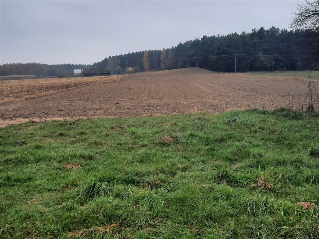 Działka budowlana na sprzedaż Knyszyn  11 900m2 Foto 1