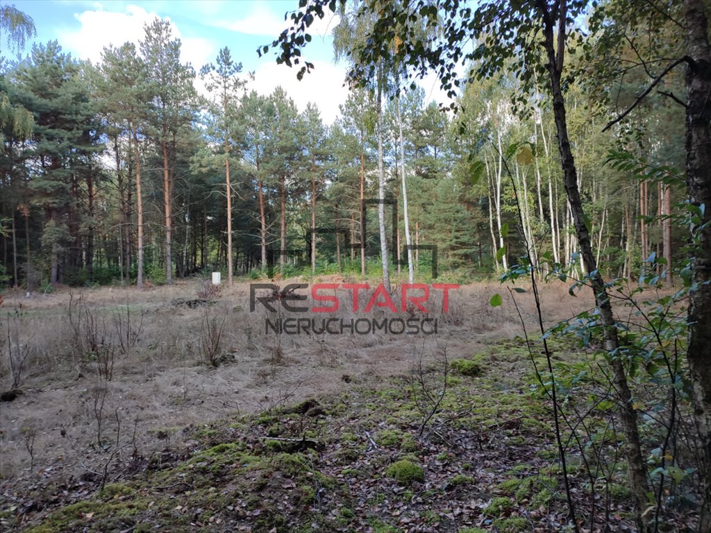 Działka budowlana na sprzedaż Osowiec  1 630m2 Foto 2