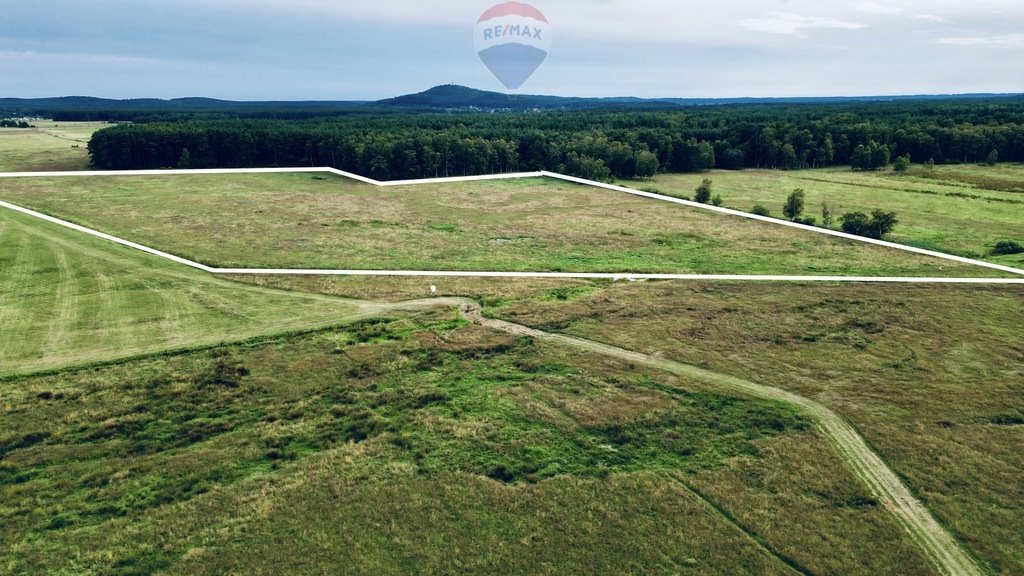 Działka inna na sprzedaż Smołdziński Las  81 864m2 Foto 1