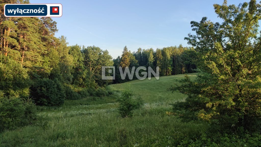 Działka budowlana na sprzedaż Oracze  1 500m2 Foto 18