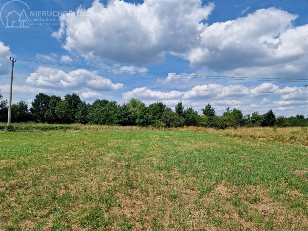 Działka budowlana na sprzedaż Krzeczów  1 100m2 Foto 13