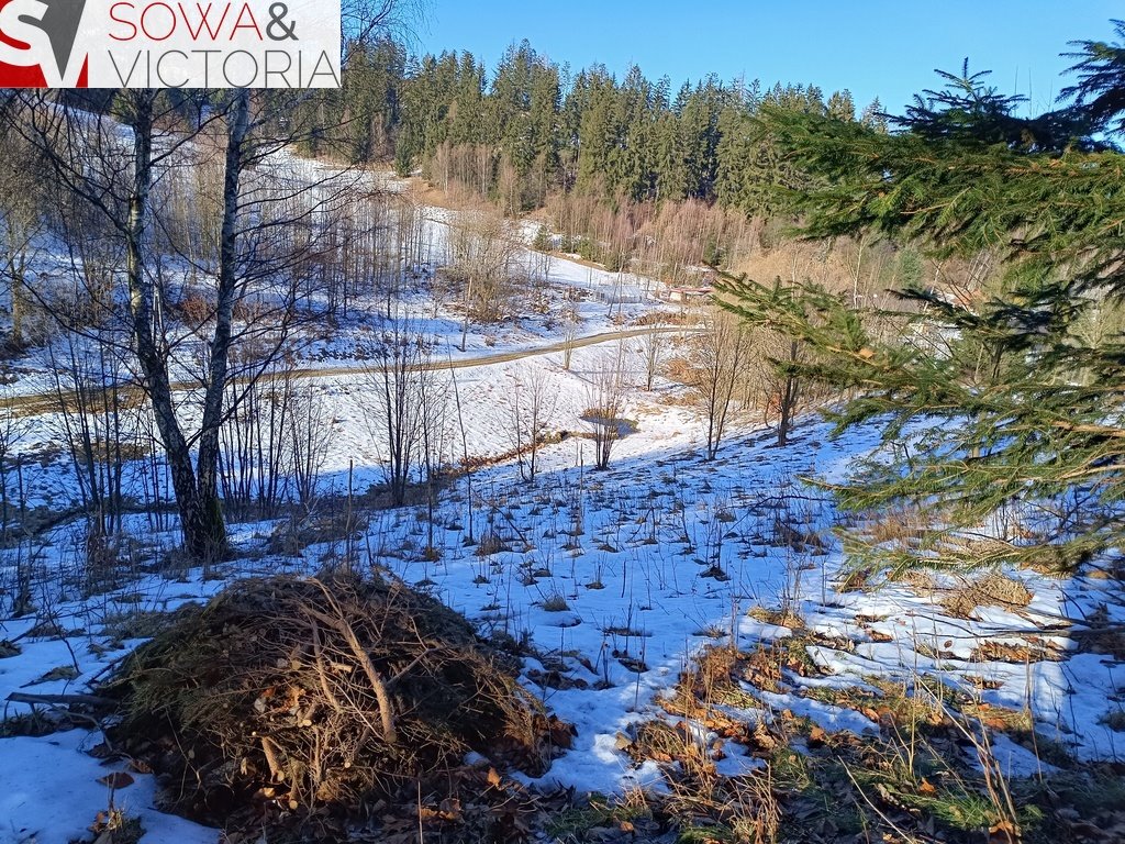 Działka inna na sprzedaż Bartnica  1 600m2 Foto 2