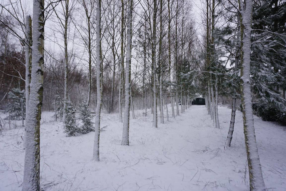 Działka budowlana na sprzedaż Tuszyn  5 889m2 Foto 7