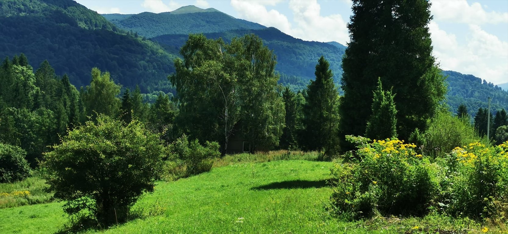 Działka budowlana na sprzedaż Kalnica  5 000m2 Foto 3