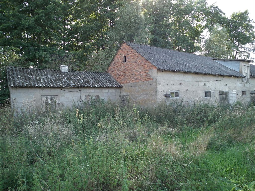 Działka siedliskowa na sprzedaż Bylice, Bylice  3 000m2 Foto 5