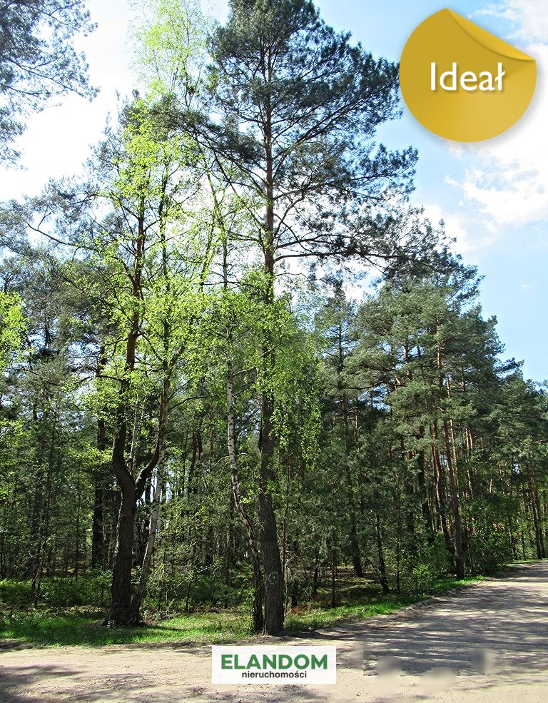 Działka inna na sprzedaż Józefów 2 265m2 Foto 1 Działka inna na sprzedaż Józefów 2 265m2 Foto 1