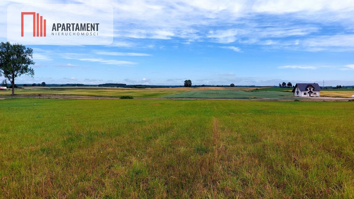 Działka budowlana na sprzedaż Witunia  1 002m2 Foto 6