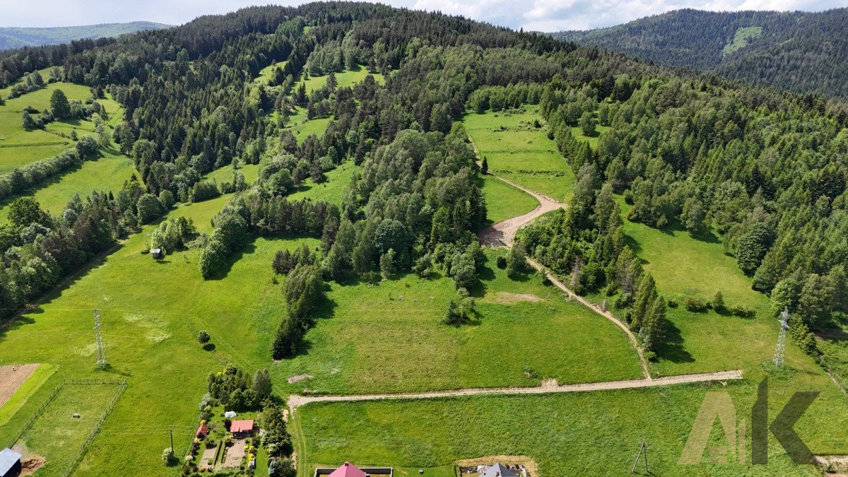 Działka rolna na sprzedaż Nowa Wieś  38 500m2 Foto 4