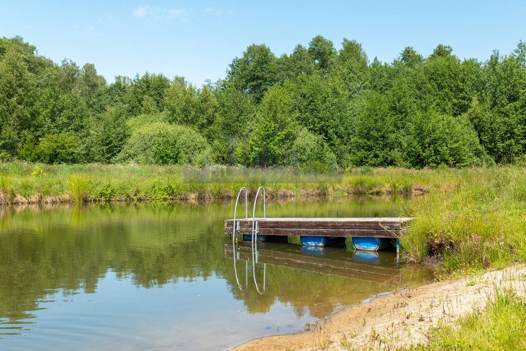 Dom na sprzedaż Pieńki Zarębskie  1 088m2 Foto 14