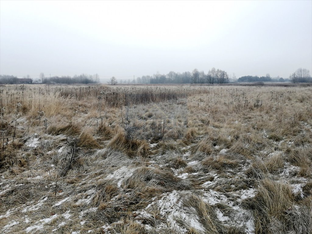 Działka budowlana na sprzedaż Wola Mokrzeska, Leśna  1 500m2 Foto 5