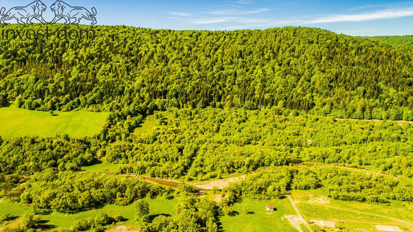 Działka rolna na sprzedaż Uście Gorlickie  19 700m2 Foto 12