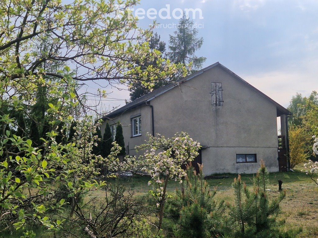 Dom z 53 ar działką - las, sad, potencjał inwestycyjny Brodnica  127m2 Foto 1