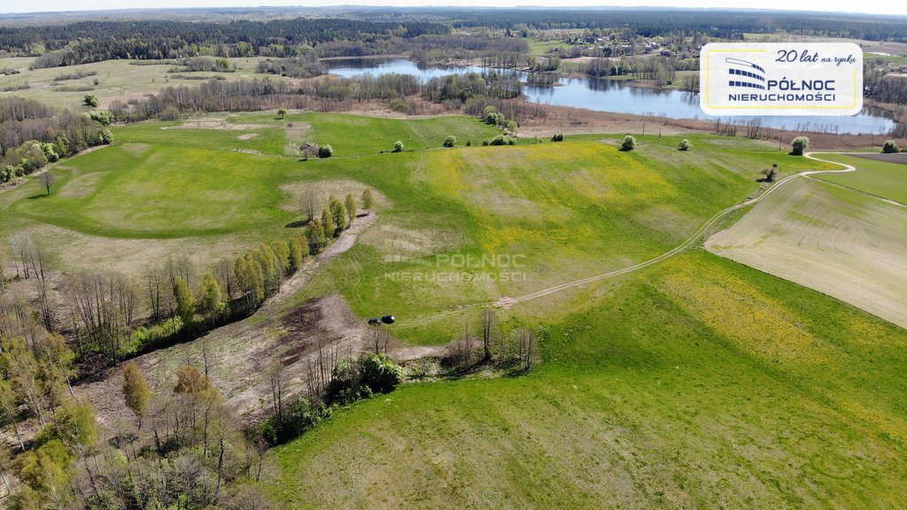 Działka siedliskowa na sprzedaż Strzelniki  97 500m2 Foto 6