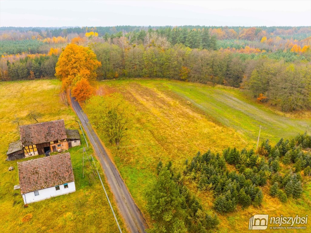 Działka budowlana na sprzedaż Węgorza, Wieś  1 500m2 Foto 7