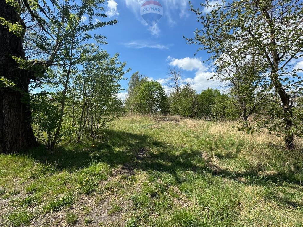 Działka 4759 m² pod dom i działalność w Jejkowicach Jejkowice, Niedobczycka  4 759m2 Foto 1