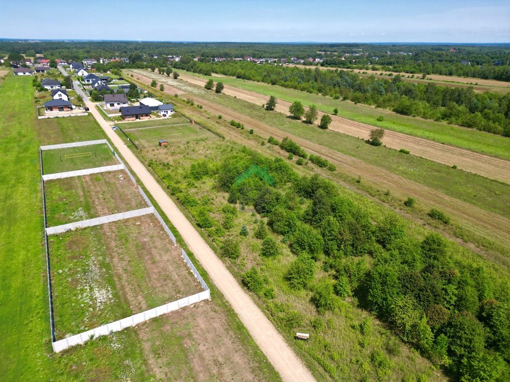 Działka inna na sprzedaż Kalej  800m2 Foto 3