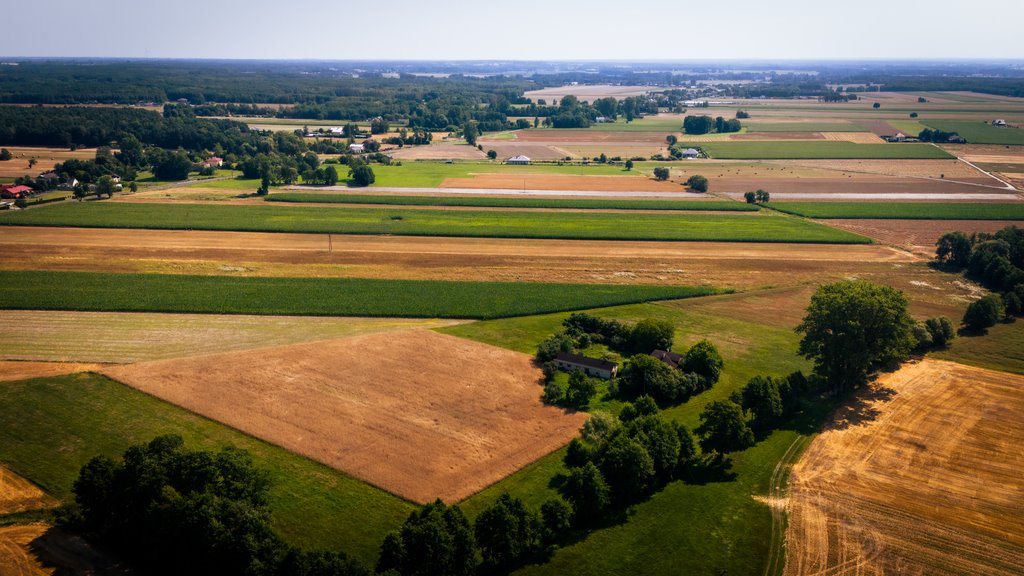 Działka budowlana na sprzedaż Adamów  1 255m2 Foto 7