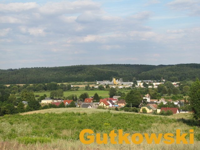Działka inna na sprzedaż Łąki Bratiańskie, Gmina Nowe Miasto Lubawskie  3 376m2 Foto 7