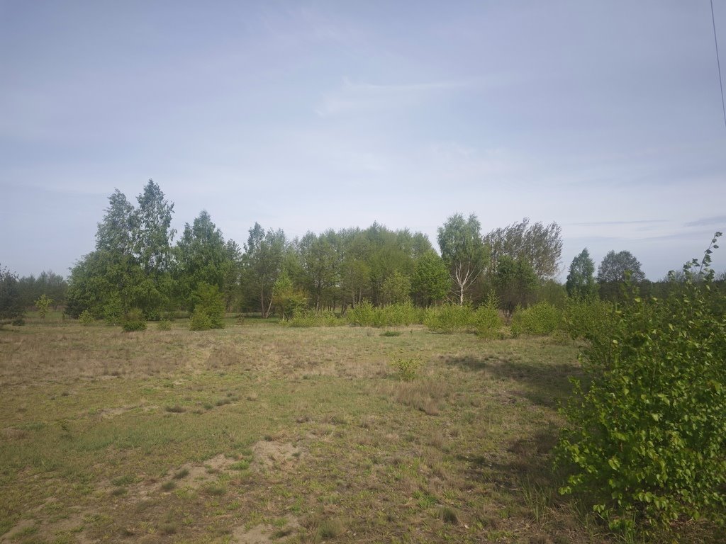 Działka 5379 m² pod dom z widokiem na las - Koczargi Koczargi Stare, Podleśna  6 379m2 Foto 1
