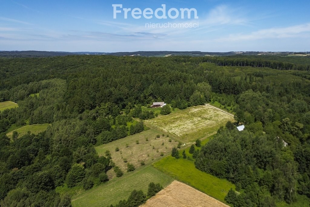 Działka budowlana na sprzedaż Hadle Kańczuckie  3 331m2 Foto 1