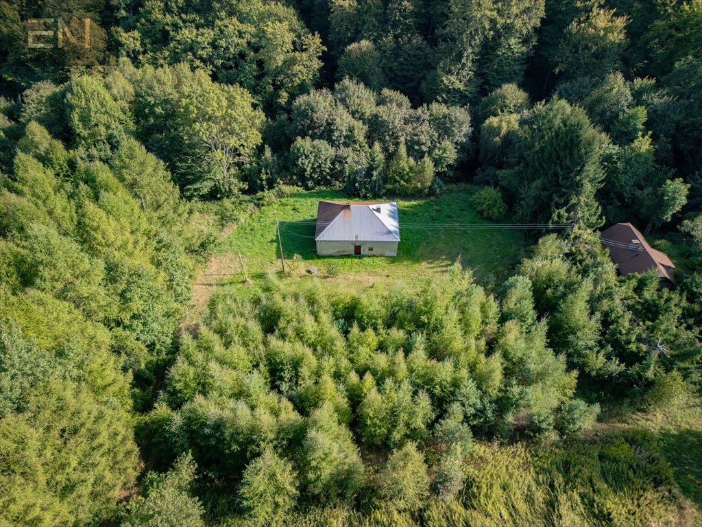 Dom na sprzedaż Niewodna  100m2 Foto 1