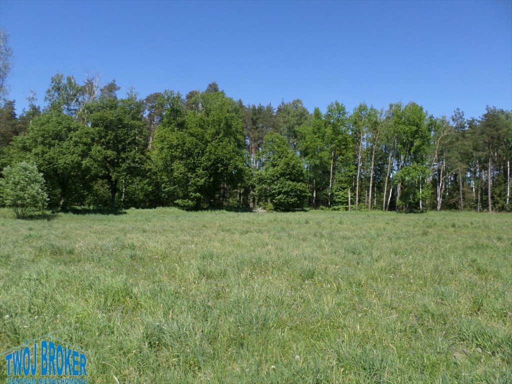 Działka rolna na sprzedaż Strzeczona, Strzeczona  206 000m2 Foto 14