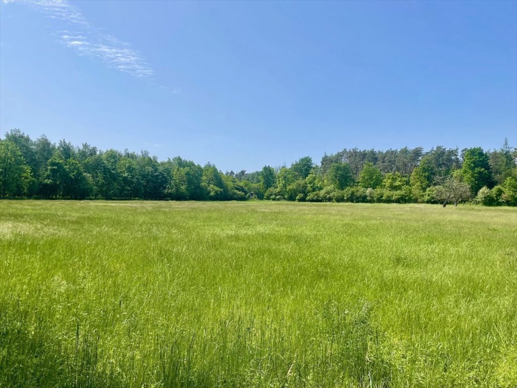 Działka budowlana na sprzedaż Bieczyny, Piękna  5 018m2 Foto 14