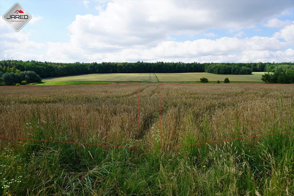 Działka budowlana na sprzedaż Osmolice Pierwsze  1 700m2 Foto 1