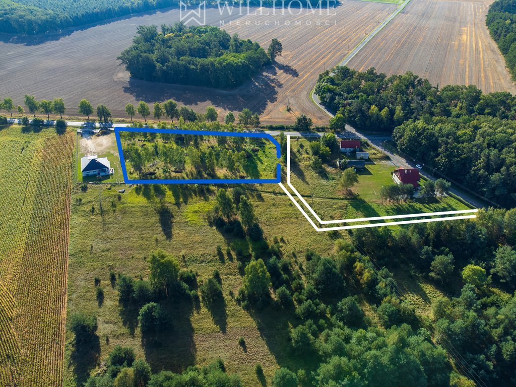 Działka rolna na sprzedaż Sokołowice  910m2 Foto 7