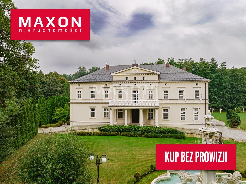 Zabytkowy pałacyk 742 m2 na 25 ha - ogród, taras, garaż Kamień  1 269m2 Foto 1