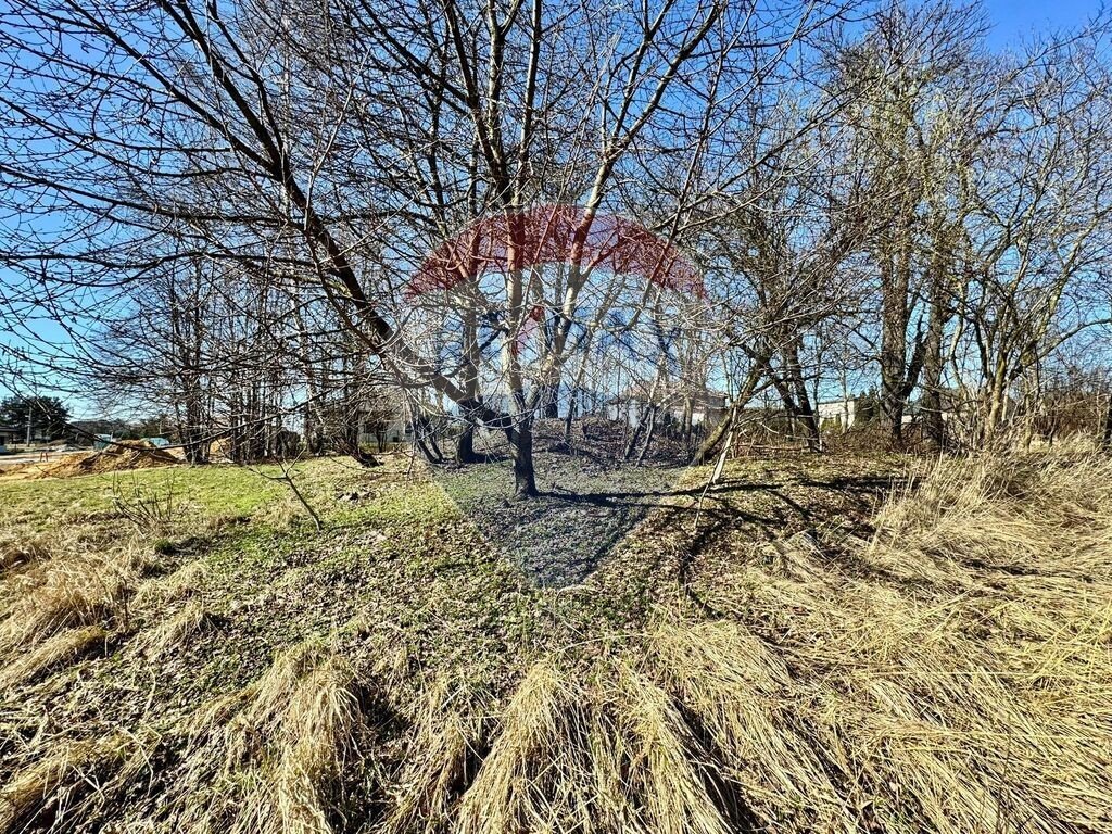 Działka 1408 m² z kasztanami w Radlinie - polecam Radlin, Rydułtowska  1 408m2 Foto 1