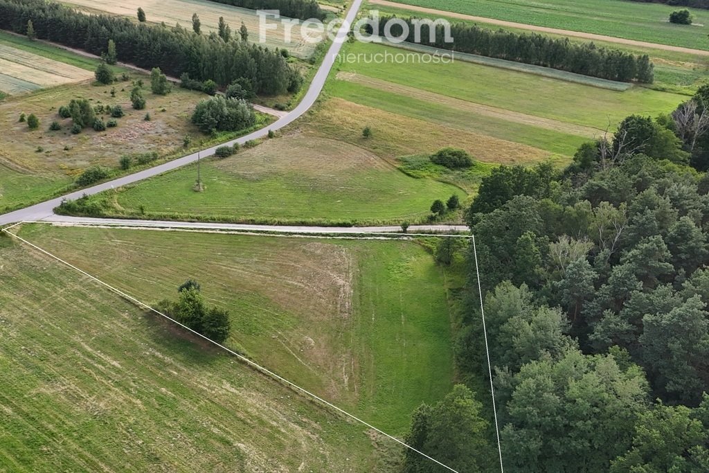 Działka budowlana na sprzedaż Grabniak  4 762m2 Foto 1