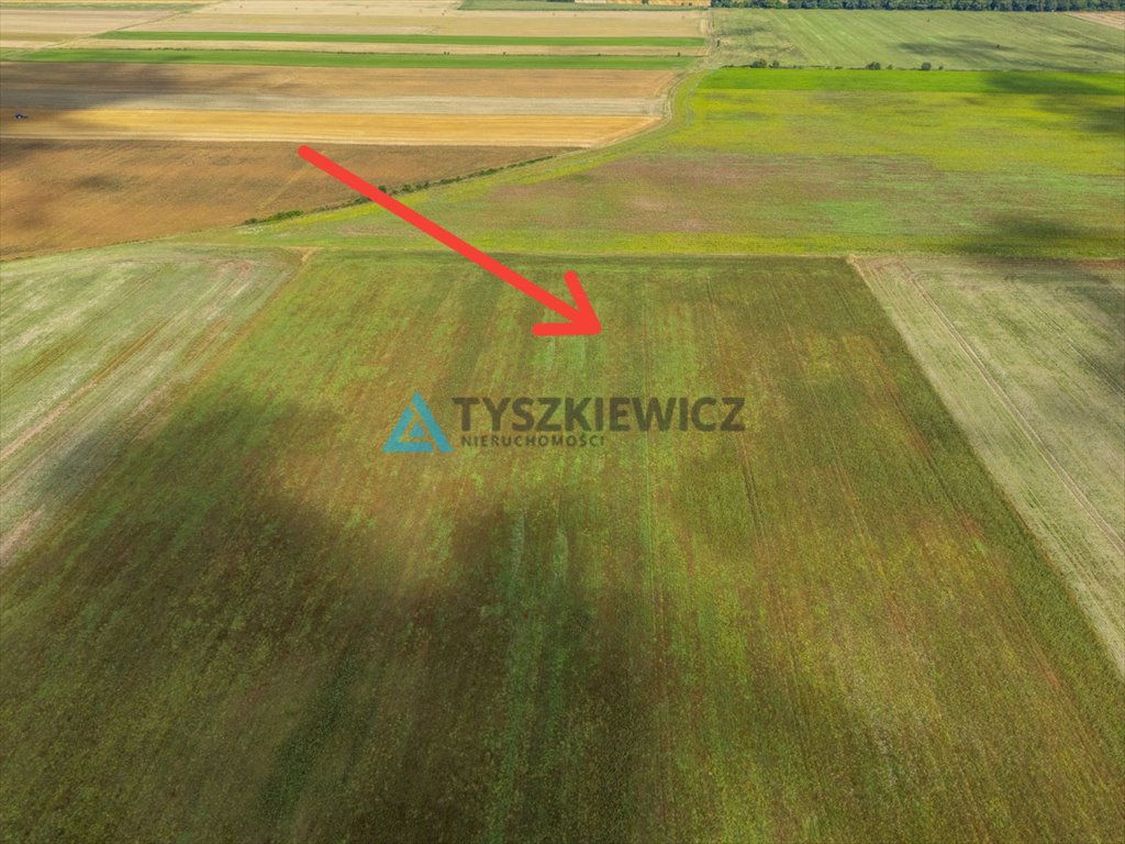 Zdjęcie 5